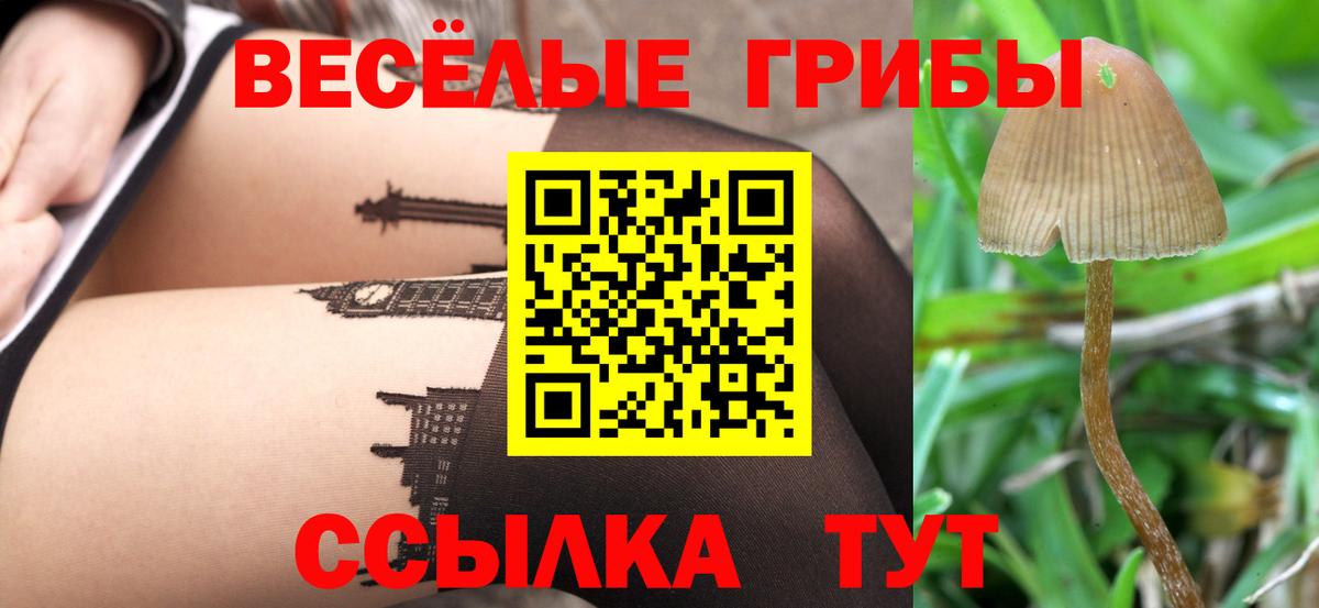Кропоткин  сколько стоит  Вход с VPN  Псилоцибиновые грибы прущие грибы 