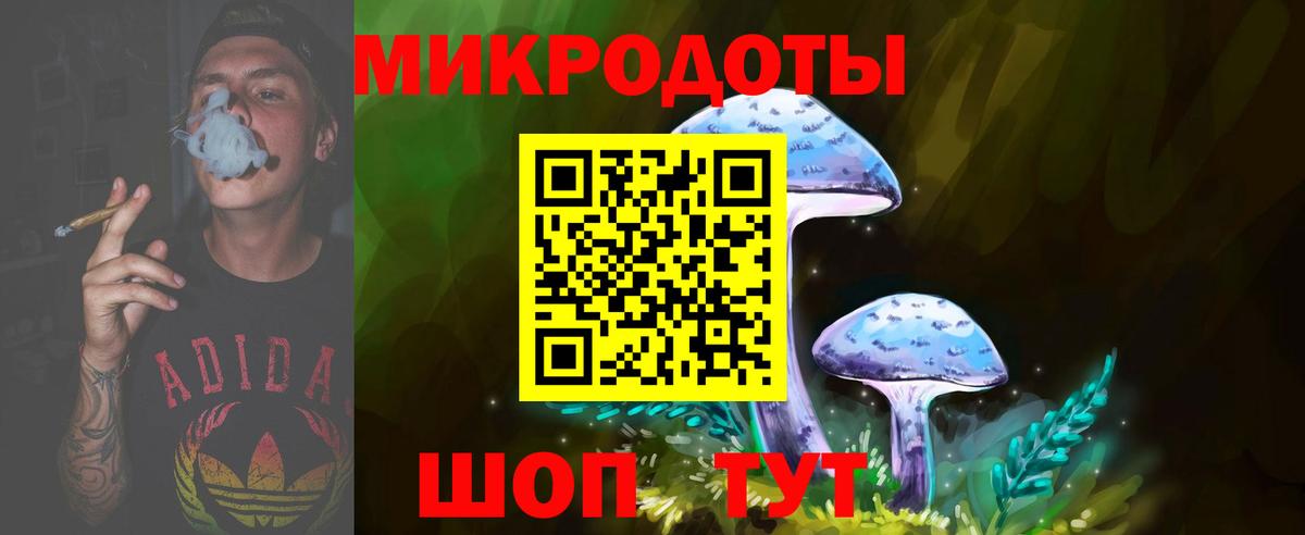 Псилоцибиновые грибы Psilocybine cubensis Кропоткин
